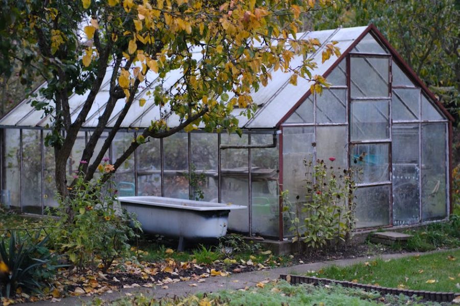 天台花園設計與建造技術解析