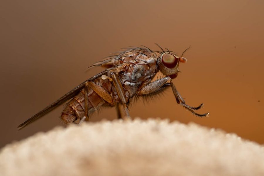 脫毛價錢全解析:了解費用與選擇的步驟指南